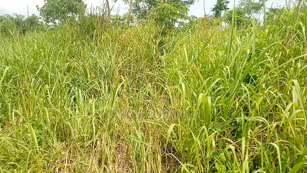 Property for Sale in Benin City