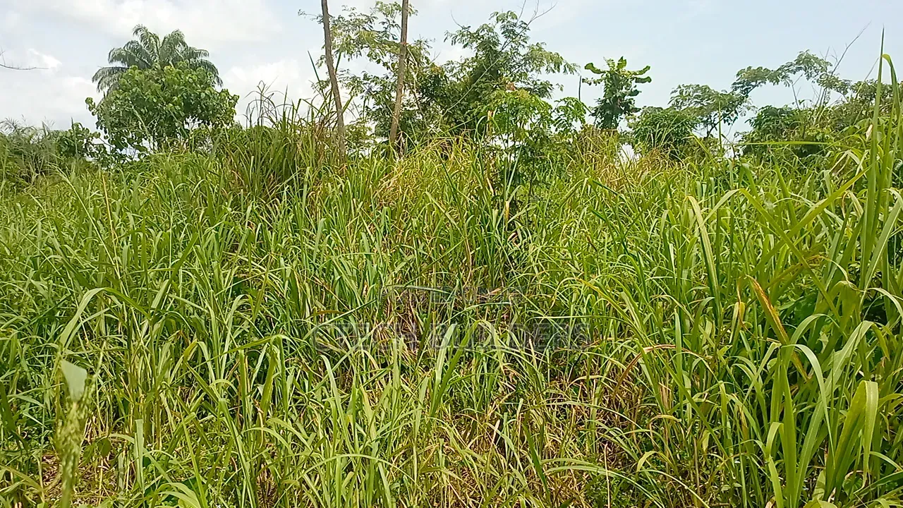 Property for Sale in Benin City