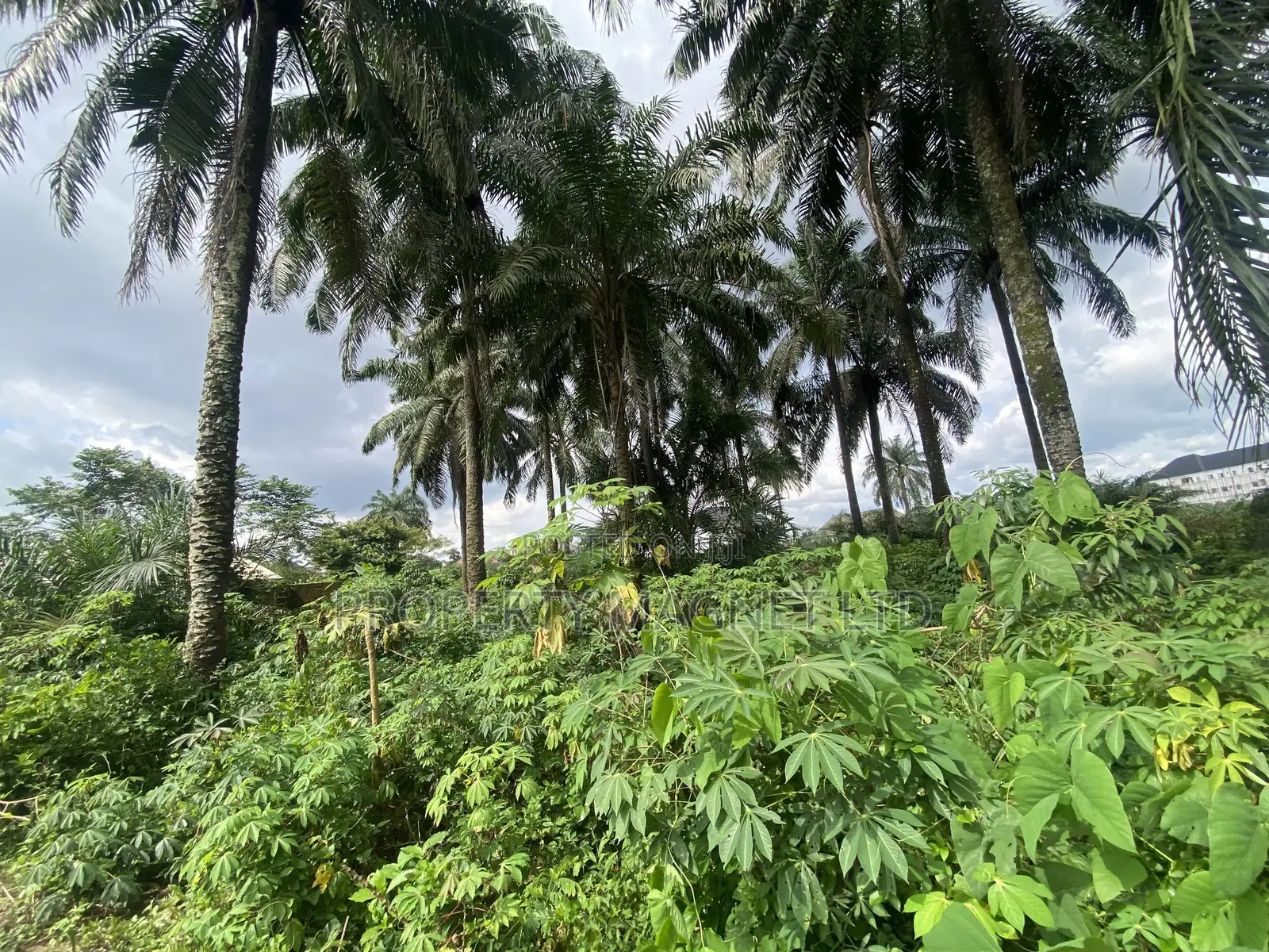 2 Premium Buy and Build Plot for Sale at Dozie Way Umuahia in Umuahia