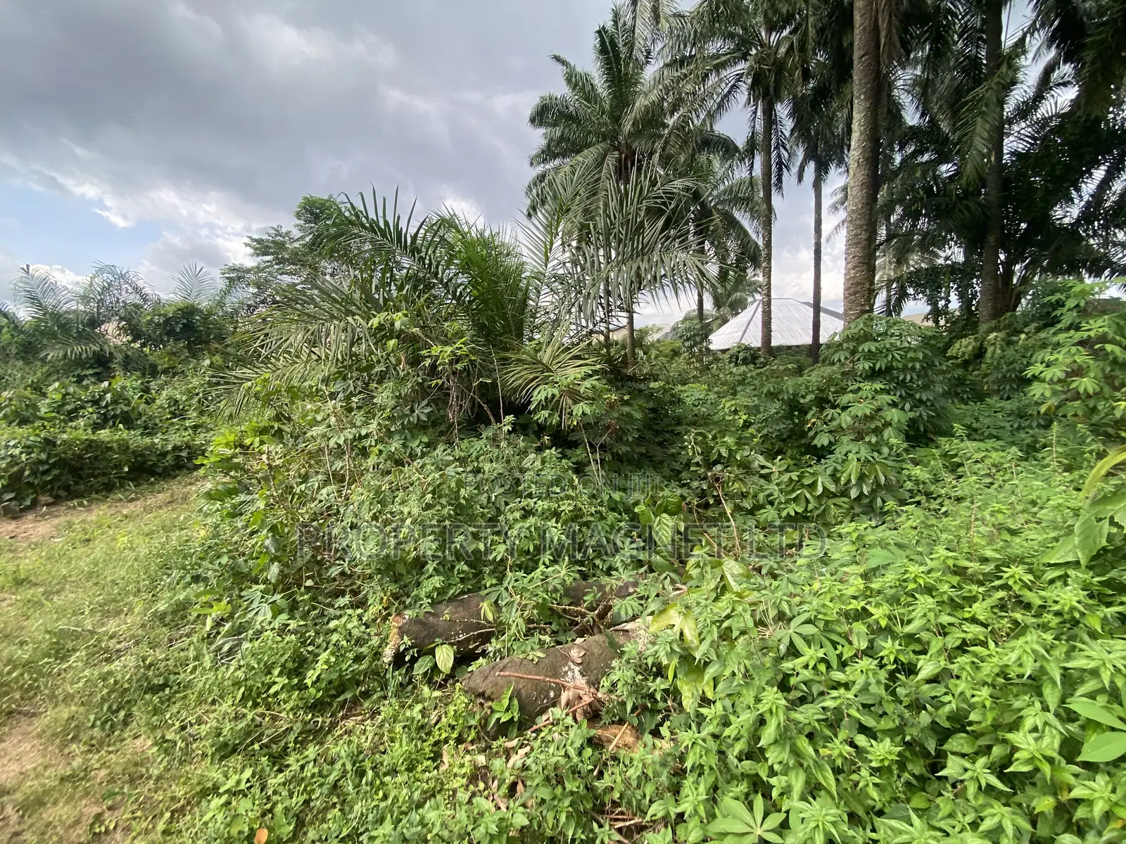 2 Premium Buy and Build Plot for Sale at Dozie Way Umuahia in Umuahia