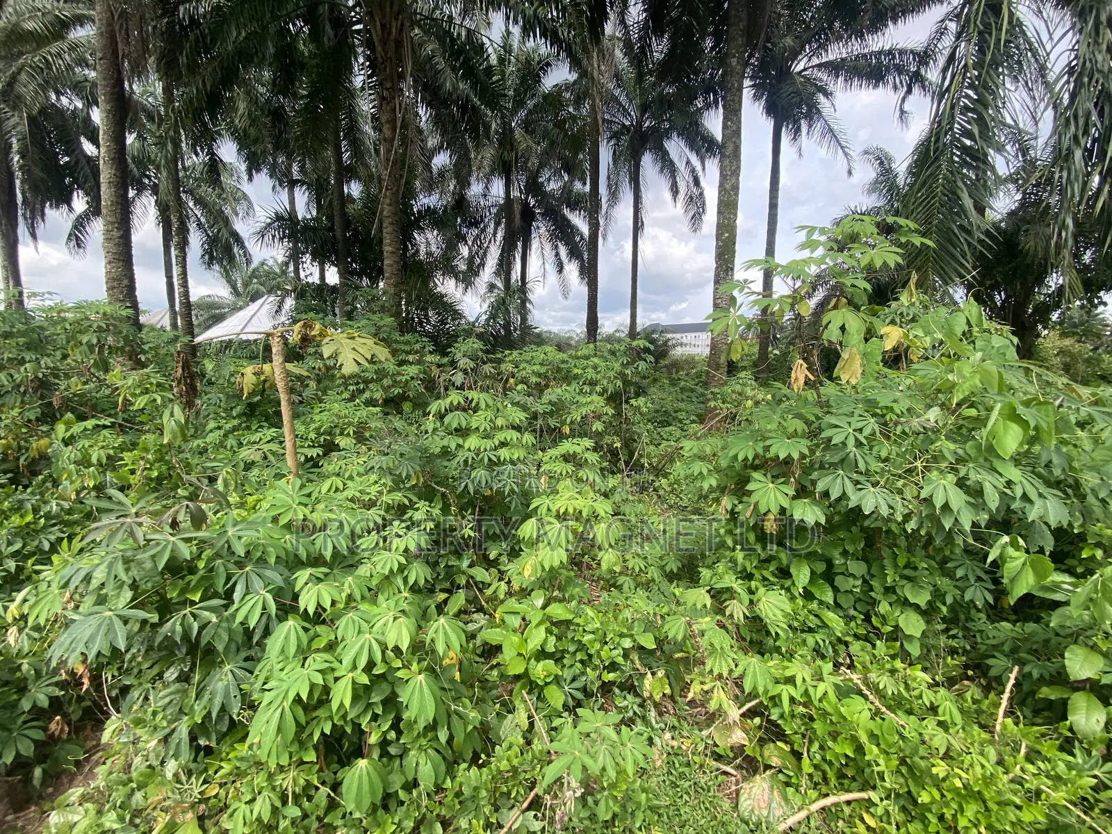 2 Premium Buy and Build Plot for Sale at Dozie Way Umuahia in Umuahia