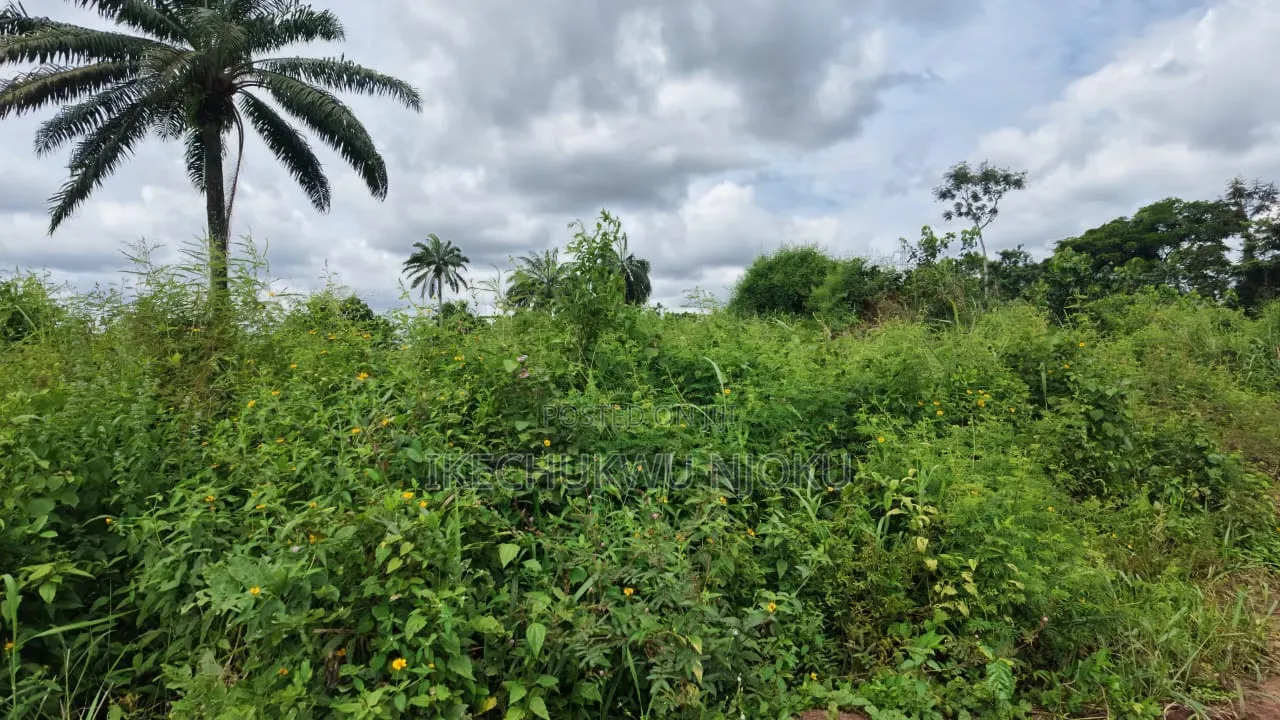 8 Plots of Land at Ubakala in Umuahia