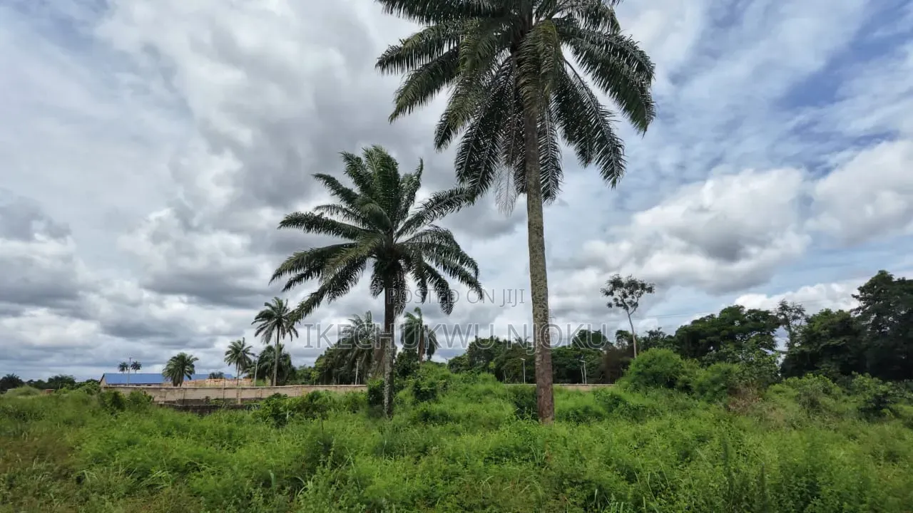 8 Plots of Land at Ubakala in Umuahia
