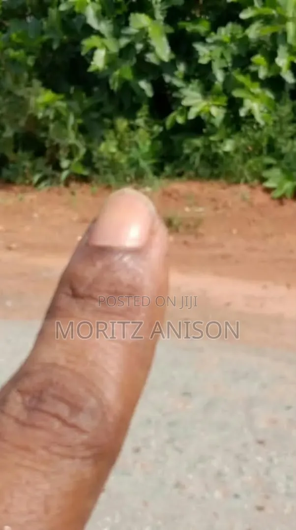 2000 Plots for Sale in Enugu