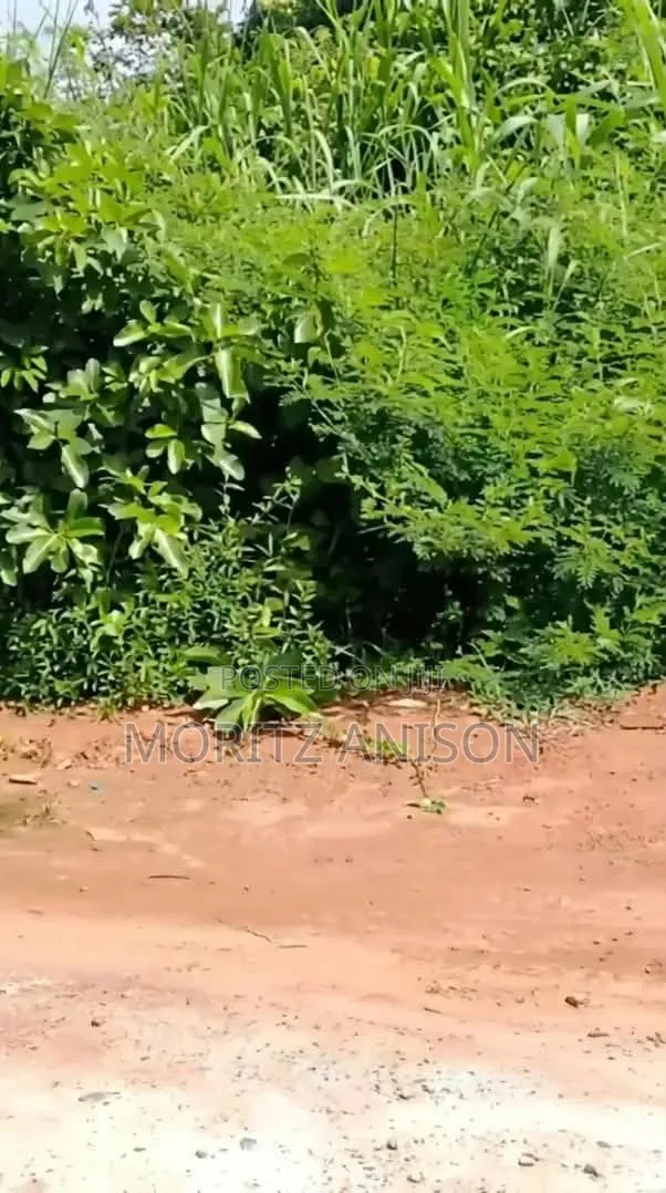 2000 Plots for Sale in Enugu