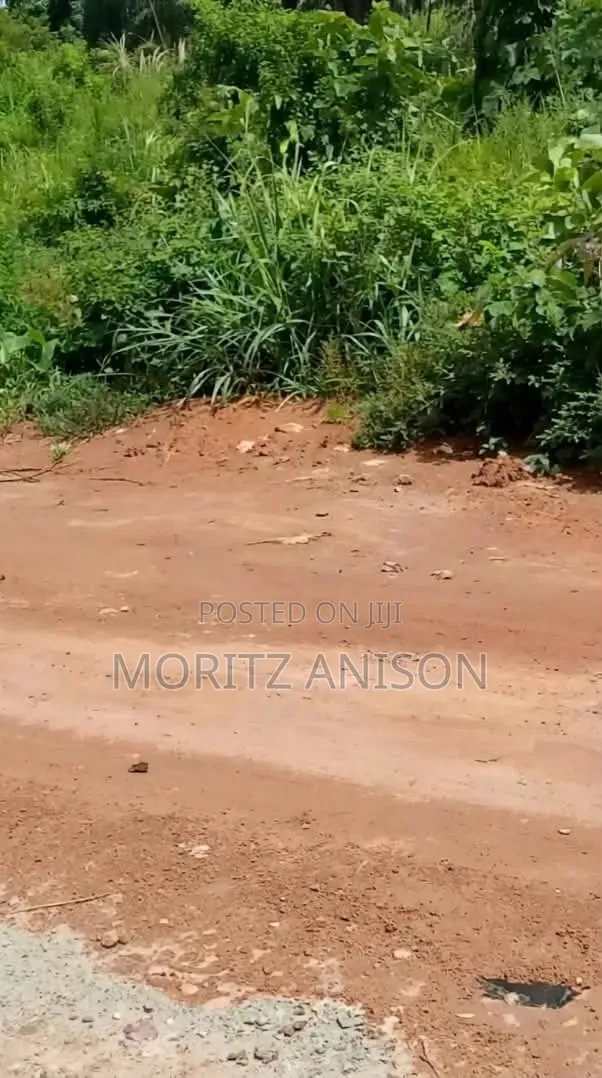 2000 Plots for Sale in Enugu