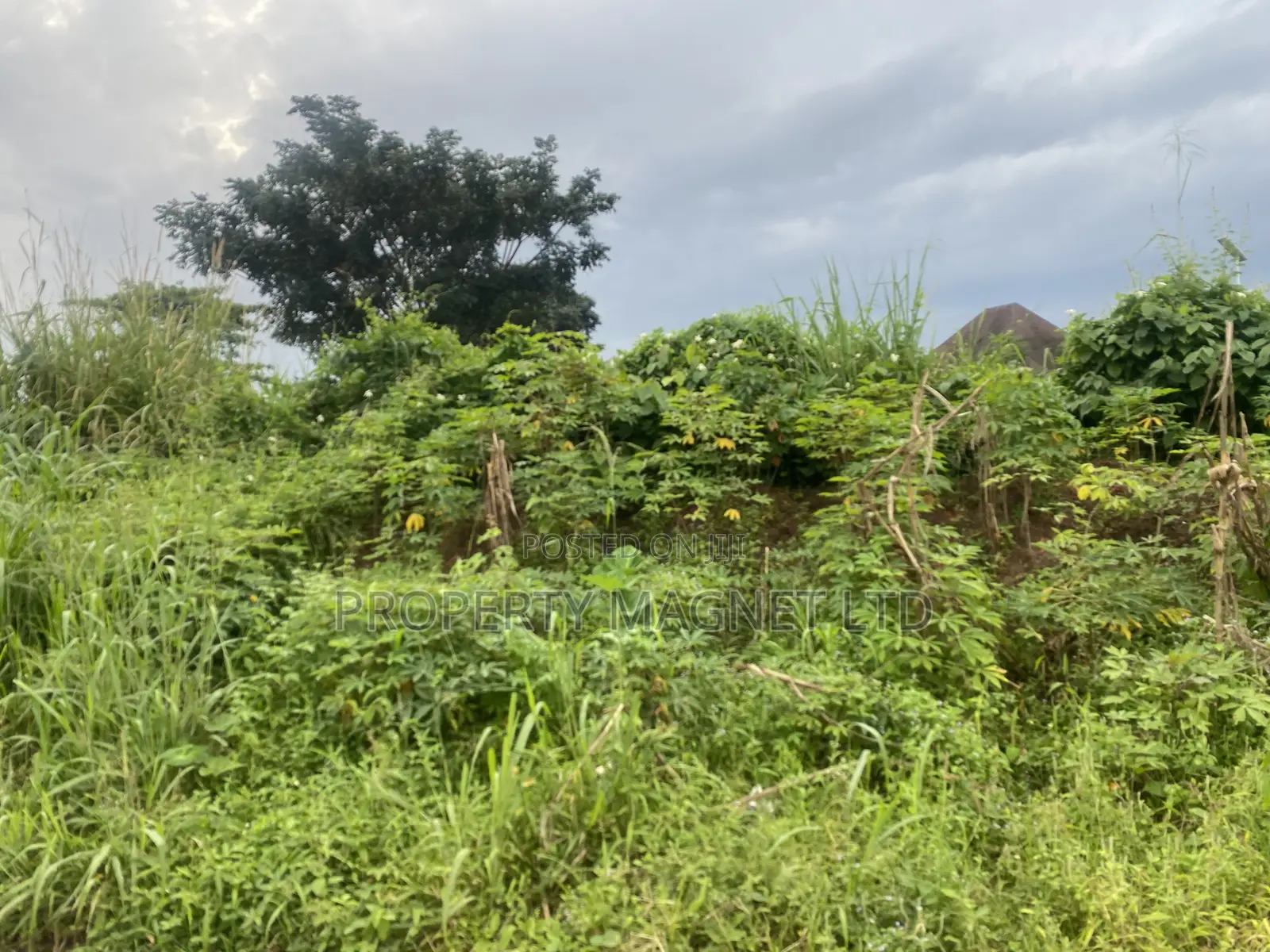 2 Plots of Land for Sale in Umuagwo, Owerri, Imo State! in Owerri