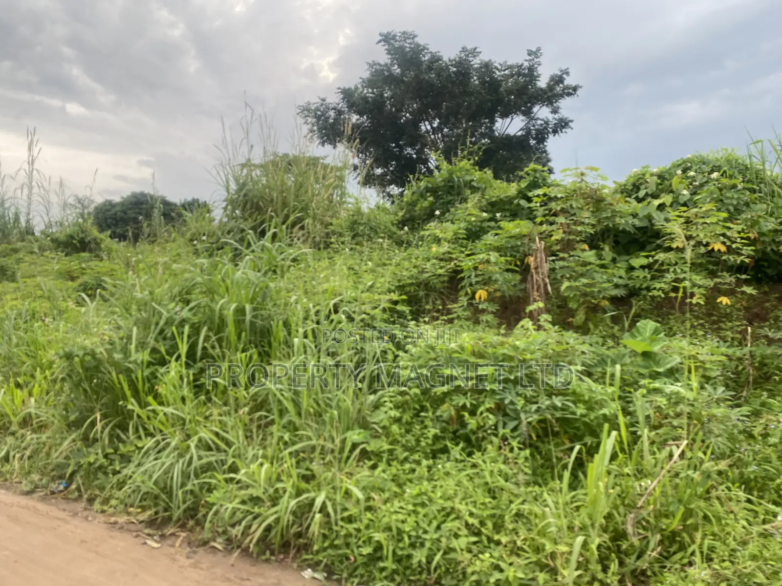 2 Plots of Land for Sale in Umuagwo, Owerri, Imo State! in Owerri