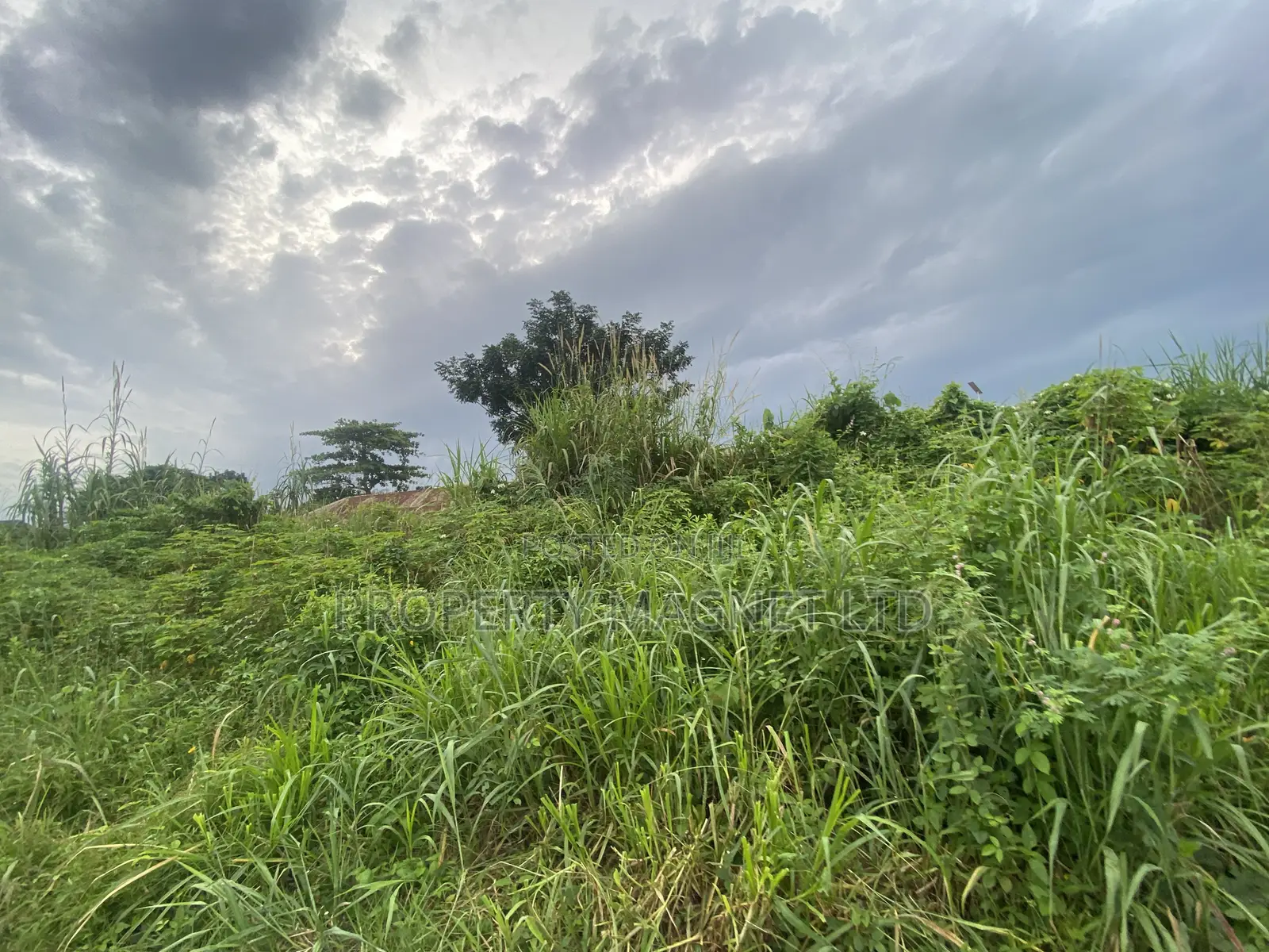2 Plots of Land for Sale in Umuagwo, Owerri, Imo State! in Owerri
