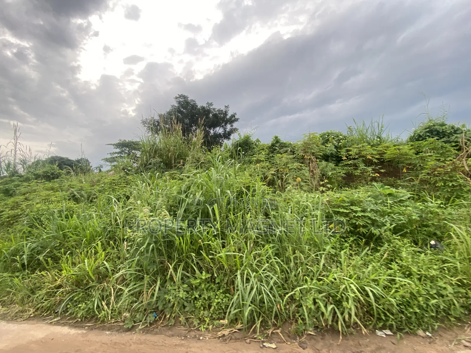 2 Plots of Land for Sale in Umuagwo, Owerri, Imo State! in Owerri