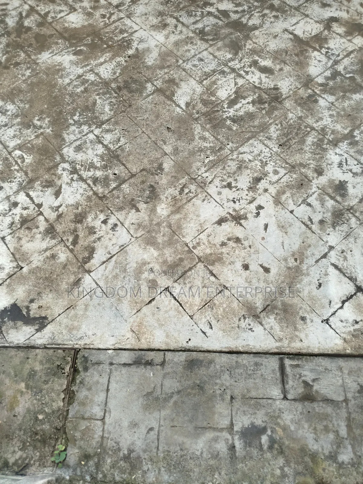 For Sale 60FT by 120FT Off Agbe Road Jibowu Abulegba Lagos C OF O in Abule Egba