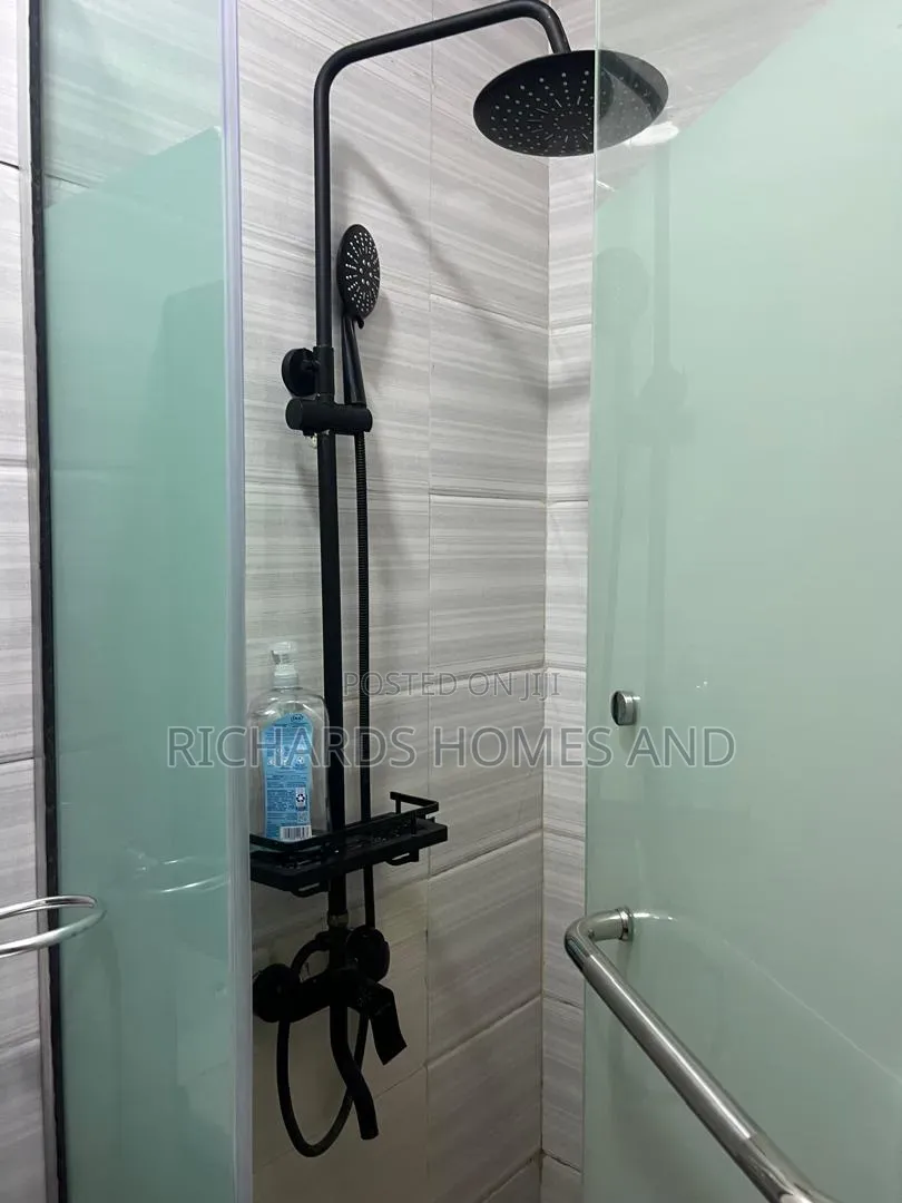 Furnished Mini Flat in Banana Island for rent in Banana Island