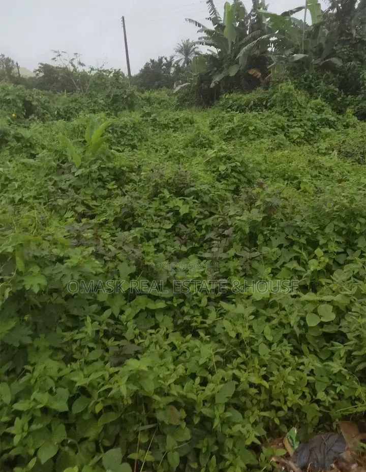 Over 100 Acres of Land for Sale in Abuja in Isheri North