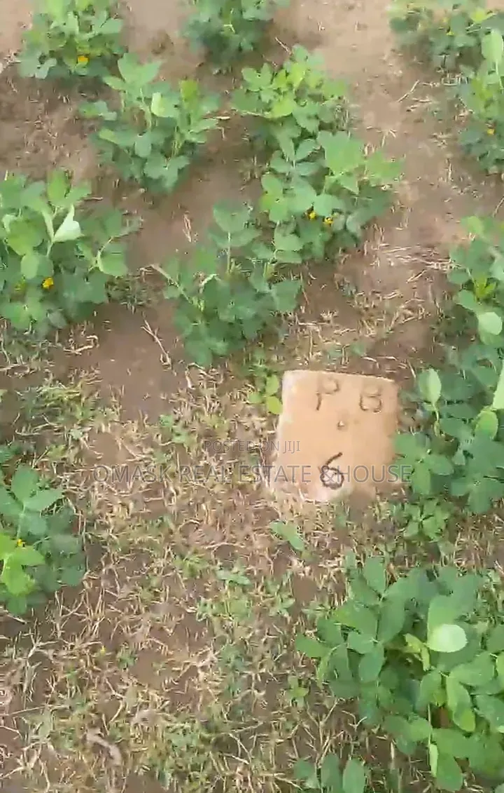 Over 100 Acres of Land for Sale in Abuja in Isheri North