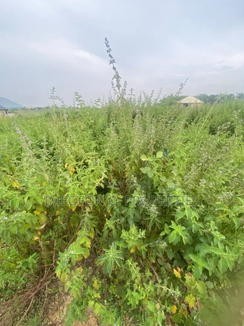 Distress Sale 500 SQM Estate Plot by Kubwa Express Way, Abuja in Kubwa