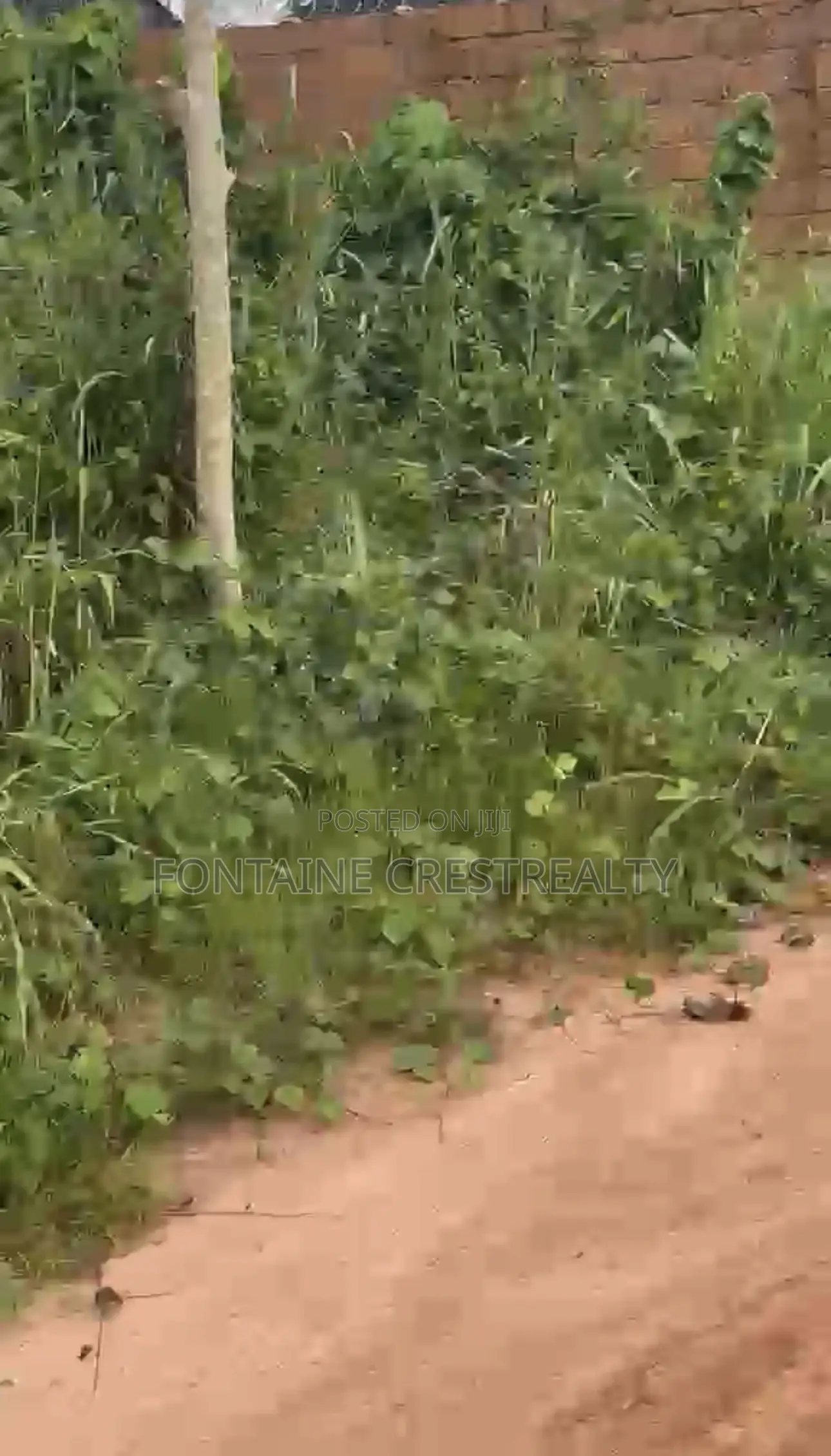 100x100 Plot of Land for Sale in Evboleka, Benin in Benin City