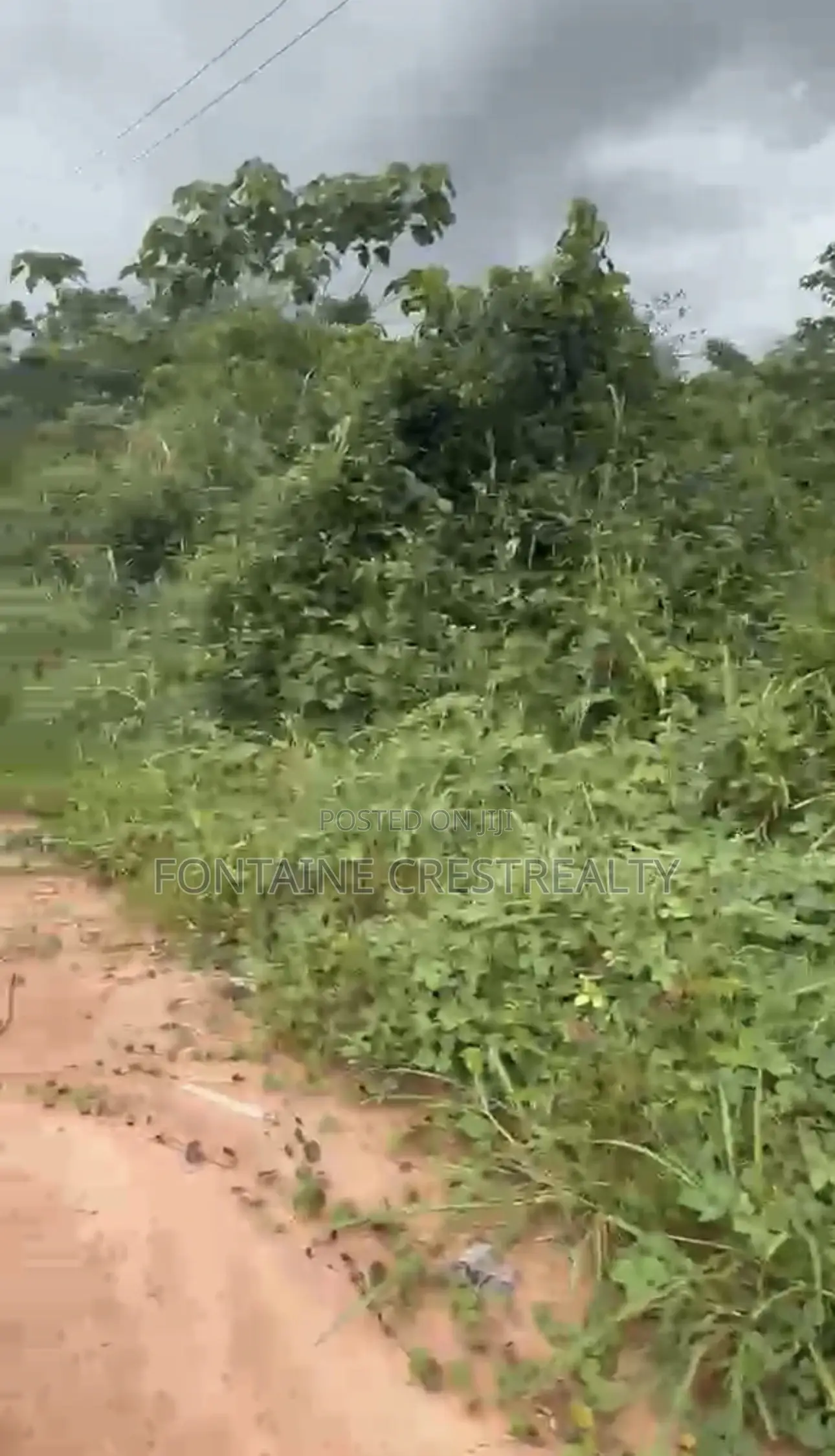 100x100 Plot of Land for Sale in Evboleka, Benin in Benin City
