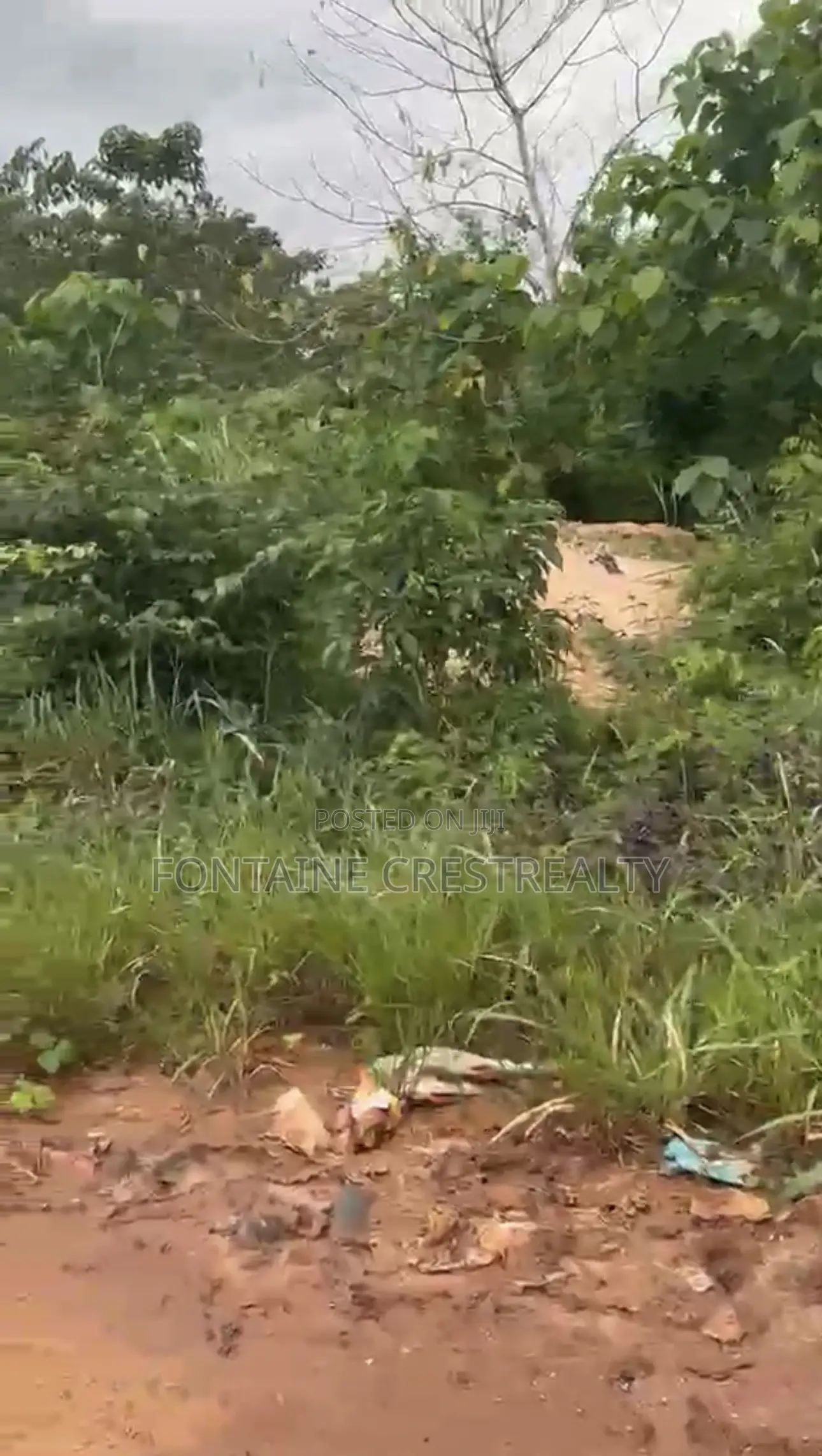100x100 Plot of Land for Sale in Evboleka, Benin in Benin City