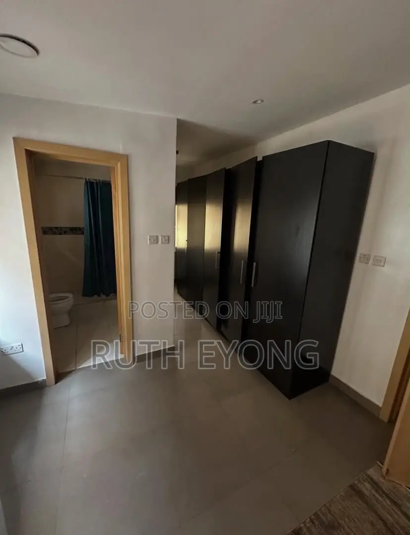 Furnished 1bdrm Apartment in Awolowo Road for rent in Awolowo Road