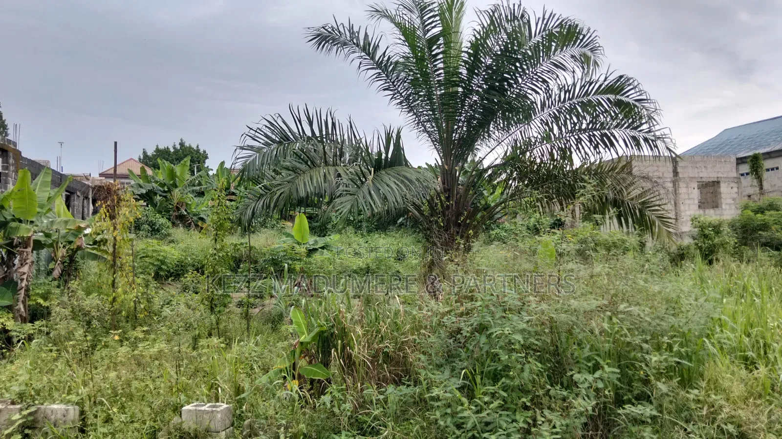 For Sale : 4 Plots on Eastwest Road Between Rumuokoro/ Obirikwere. Ph in Rumuokoro