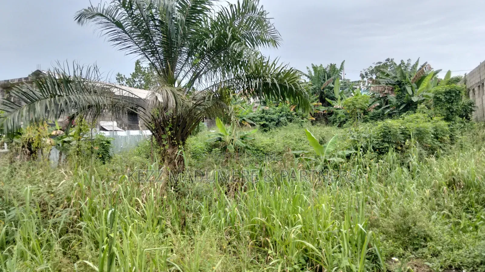 For Sale : 4 Plots on Eastwest Road Between Rumuokoro/ Obirikwere. Ph in Rumuokoro