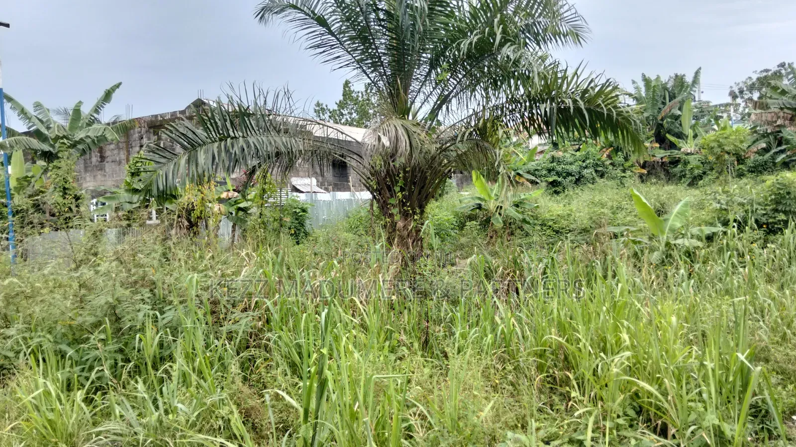 For Sale : 4 Plots on Eastwest Road Between Rumuokoro/ Obirikwere. Ph in Rumuokoro