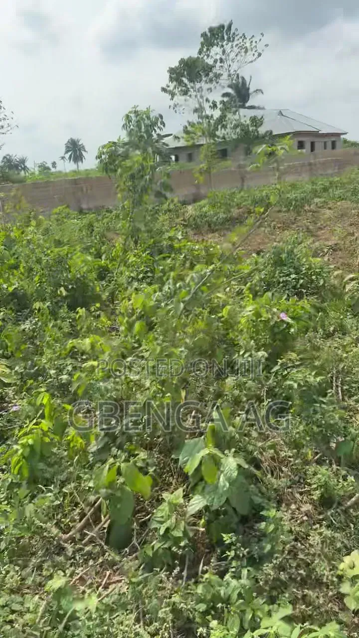A Plot of Land for Sale at Ilaro Owode Yewa Ogun State in Ilaro