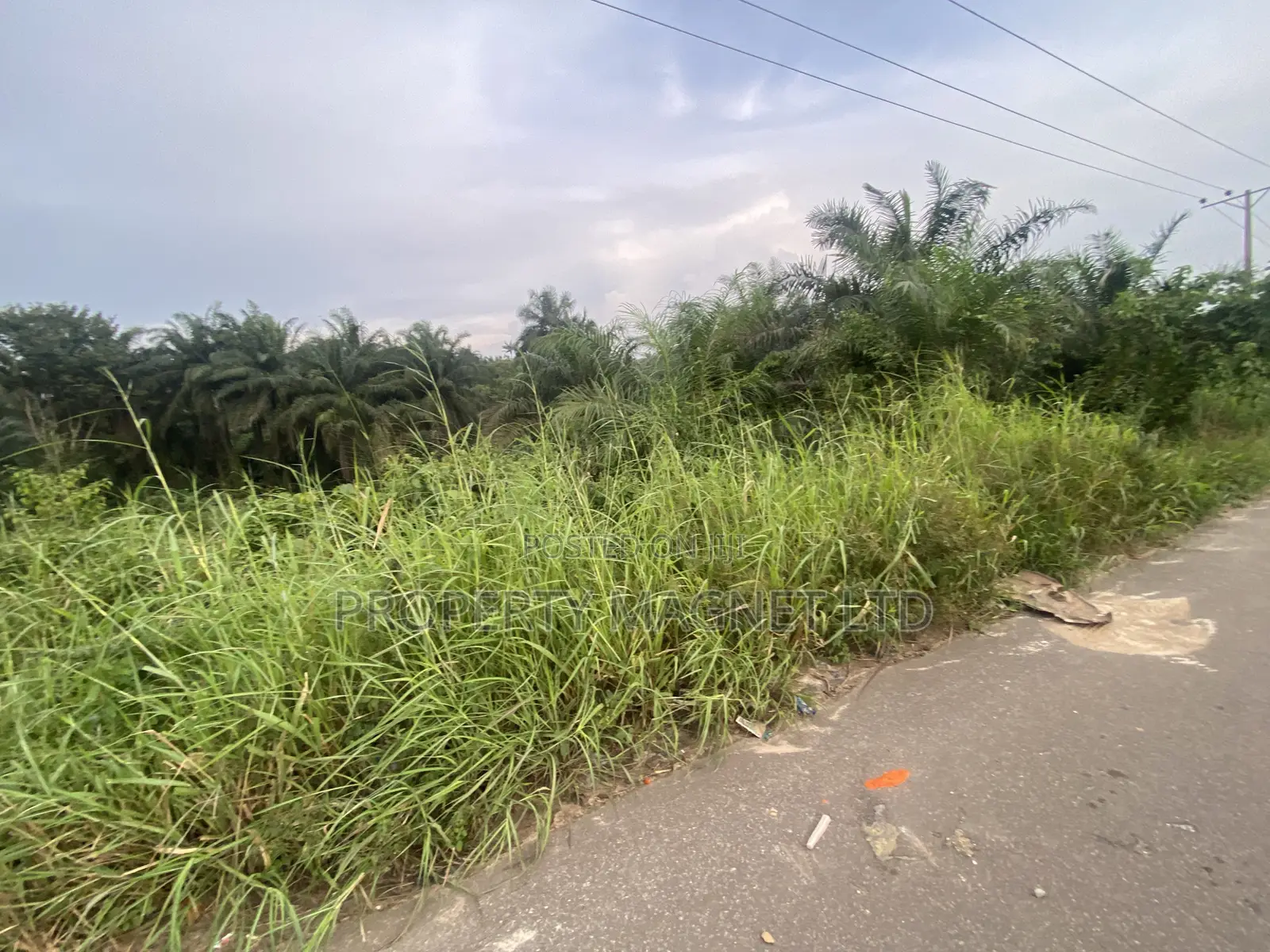 Buy and Build 10 Plots of Land for Sale in Ohyia, Umuahia, Abia State in Umuahia