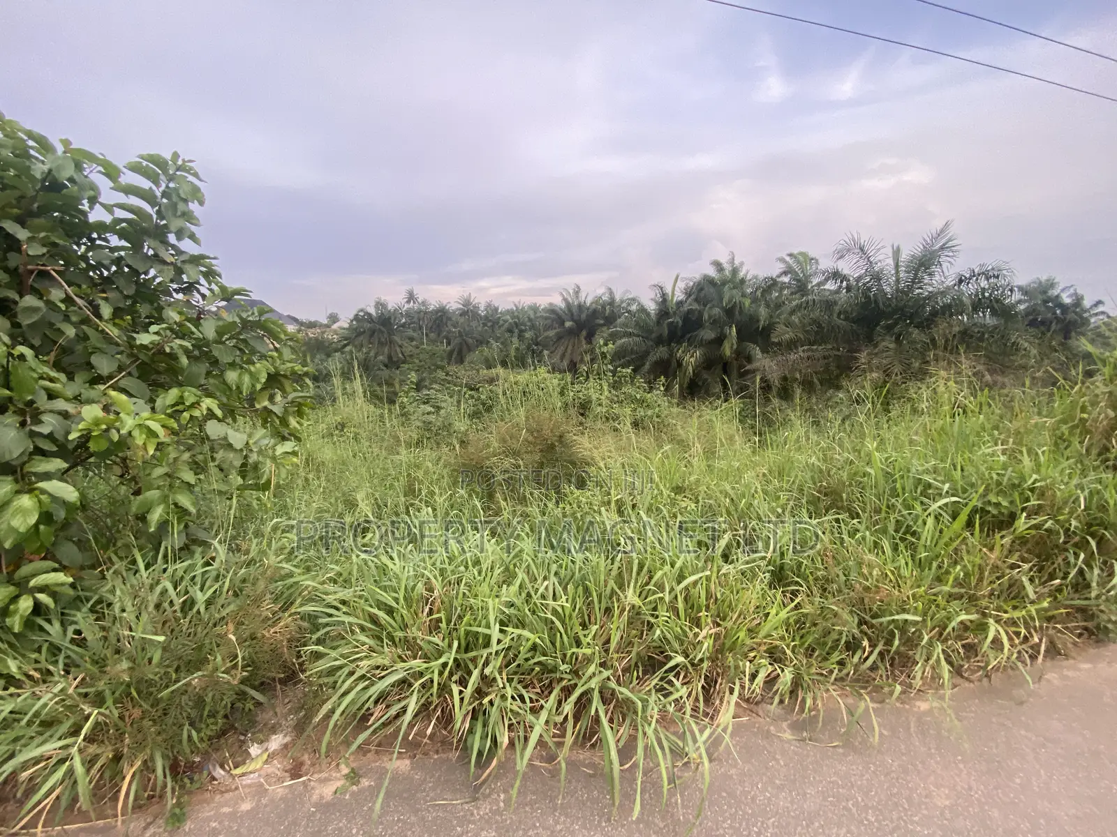 2 and Half Plots of Land for Sale in Ohyia, Umuahia, Abia State in Umuahia