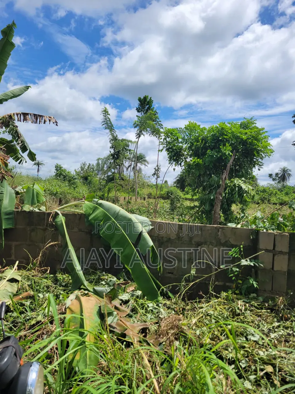 More Than a Plot at Palmview Estate Alagbaka GRA for Sale in Akure