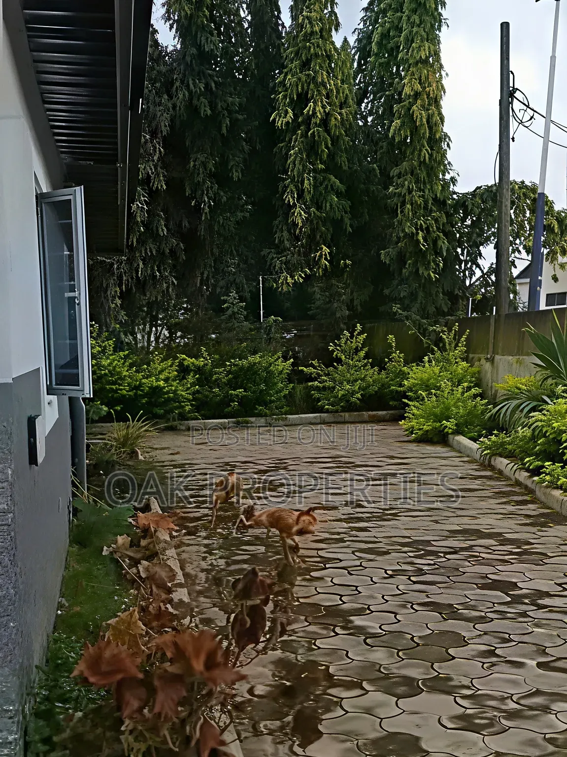3 Bedroom Bungalow With BQ for Residential or Office Use at Gra in GRA Phase 3 / Port-Harcourt