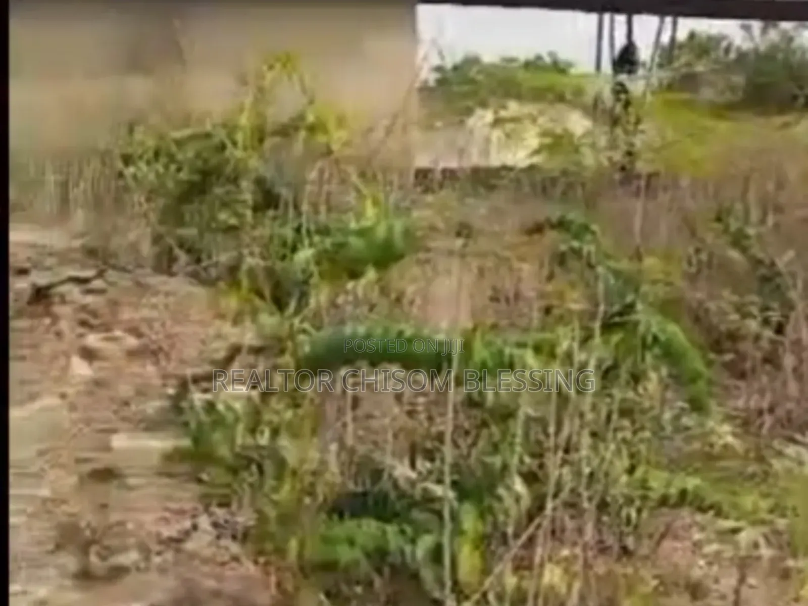 2 Plots for Sale in Ohiya Umuahia Abia State in Umuahia