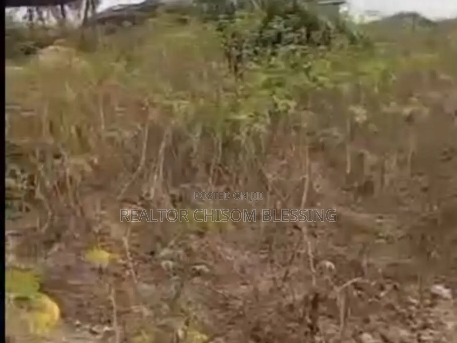2 Plots for Sale in Ohiya Umuahia Abia State in Umuahia