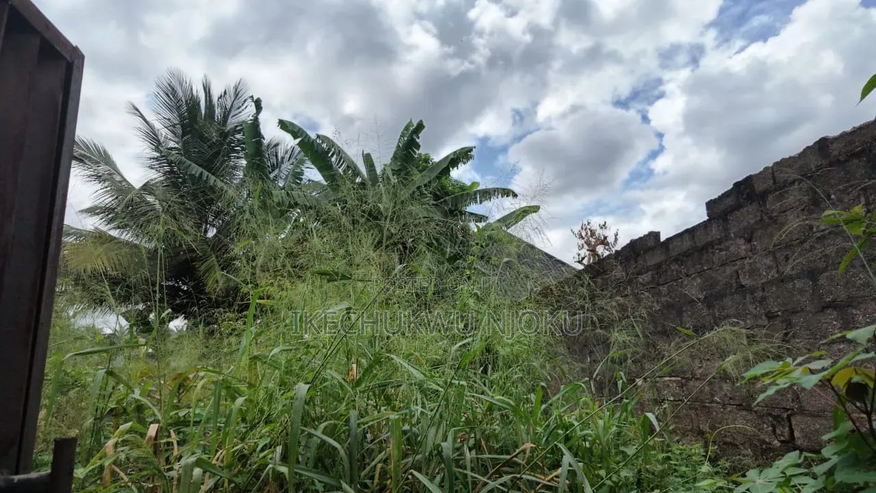 1 and Half Plot of Land for Sale in Umuahia