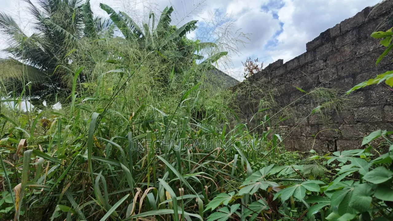 1 and Half Plot of Land for Sale in Umuahia