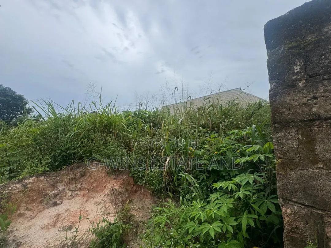 100x100ft Bare Land for Sale in Benin City