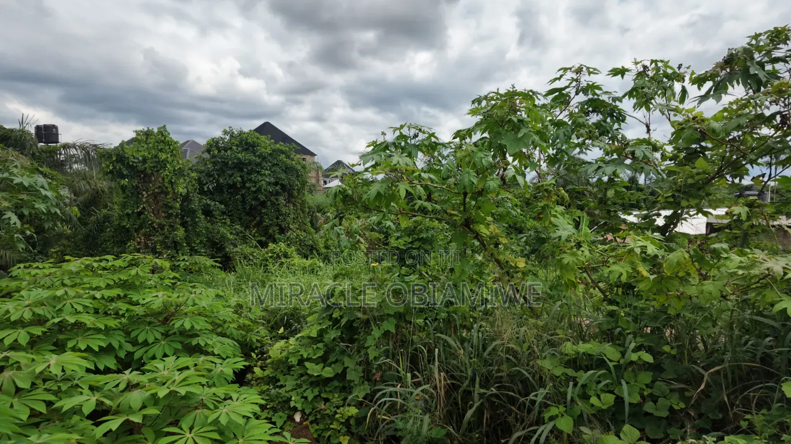 One Plot of Land for Sale Umuahia Abia State in Umuahia