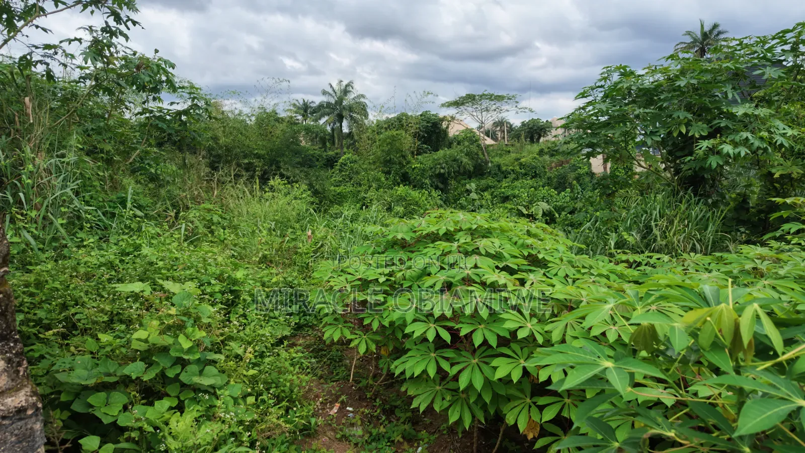 One Plot of Land for Sale Umuahia Abia State in Umuahia