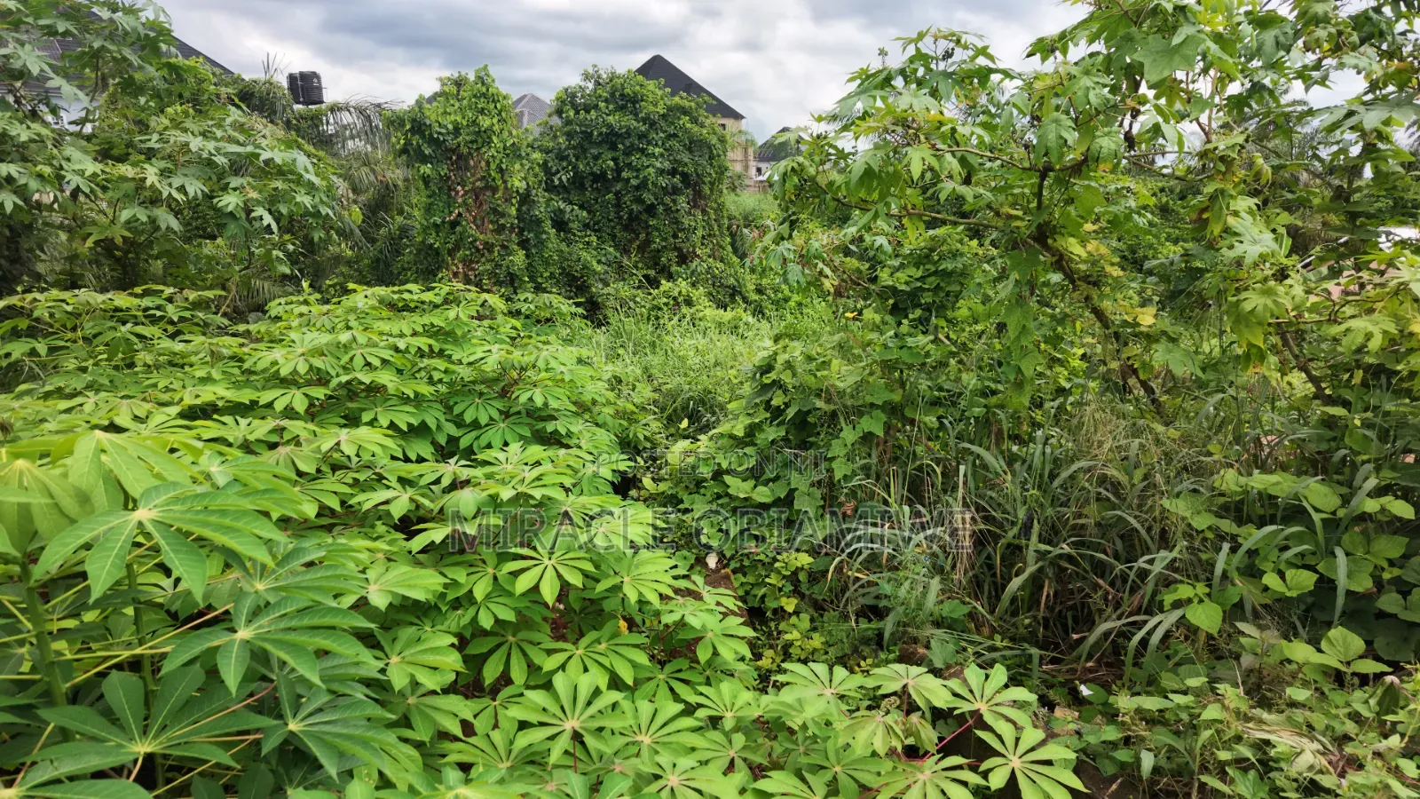One Plot of Land for Sale Umuahia Abia State in Umuahia