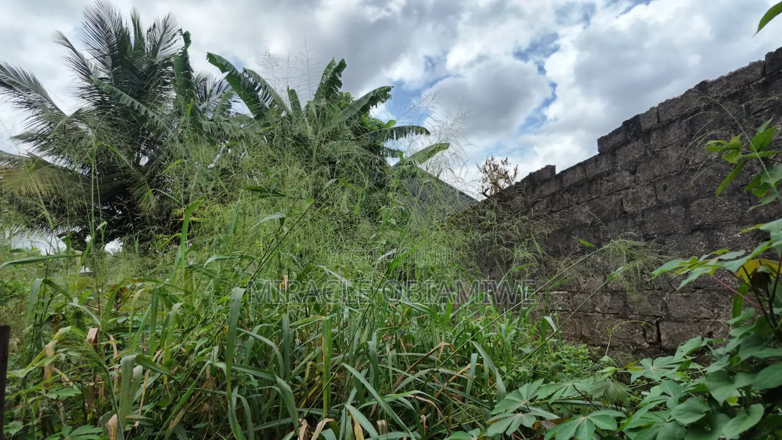 11⁄2 Plots of Land for Sale Umuahia Abia State in Umuahia