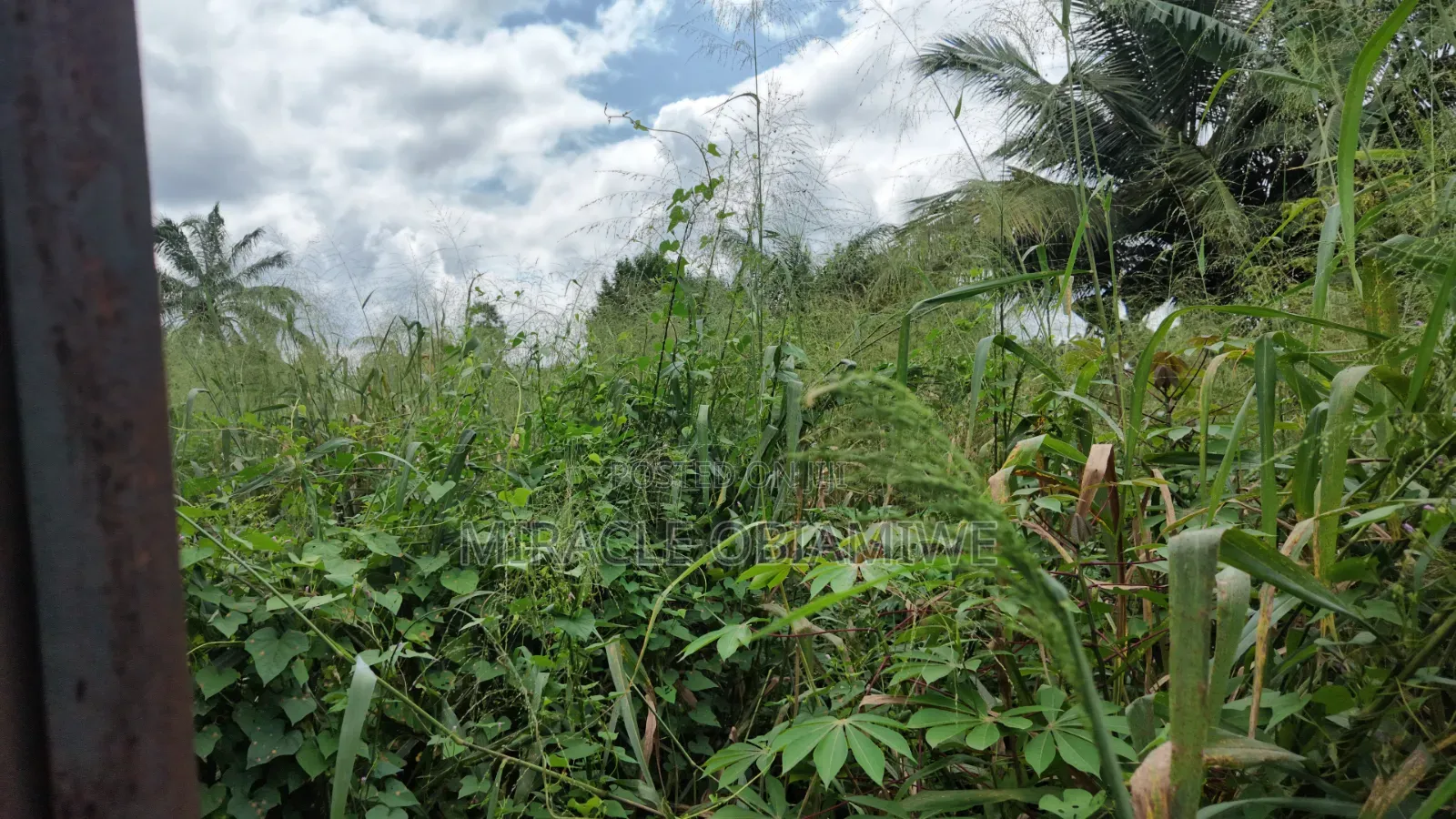 11⁄2 Plots of Land for Sale Umuahia Abia State in Umuahia