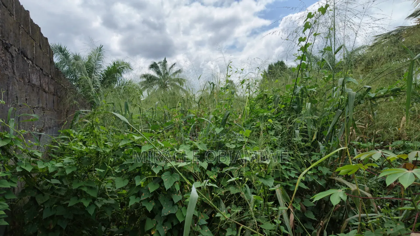 11⁄2 Plots of Land for Sale Umuahia Abia State in Umuahia
