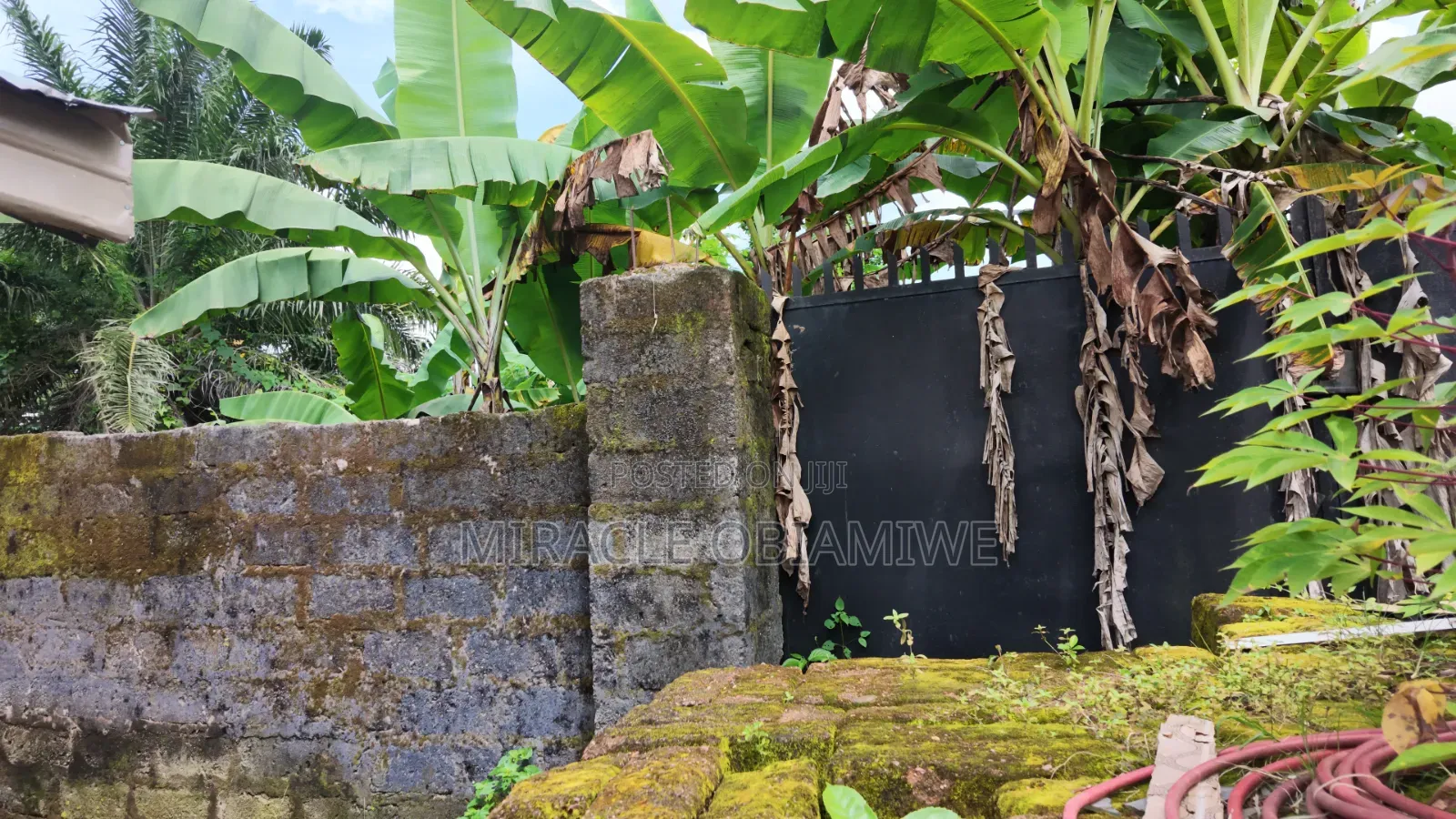 Half Plot of Land for Sale Umuahia Abia State in Umuahia