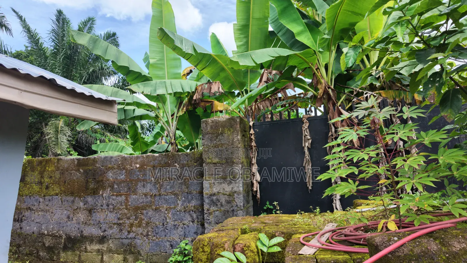 Half Plot of Land for Sale Umuahia Abia State in Umuahia