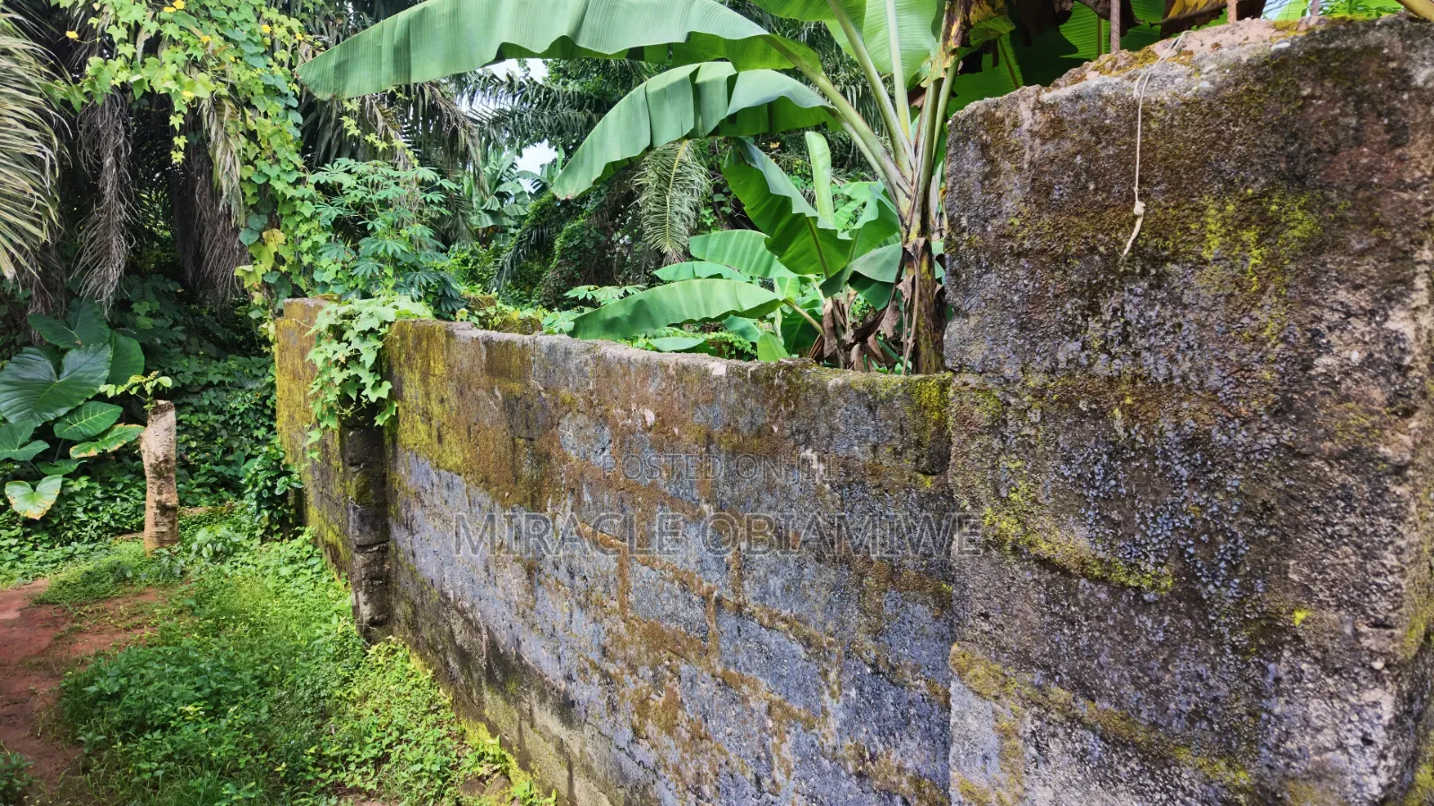 Half Plot of Land for Sale Umuahia Abia State in Umuahia