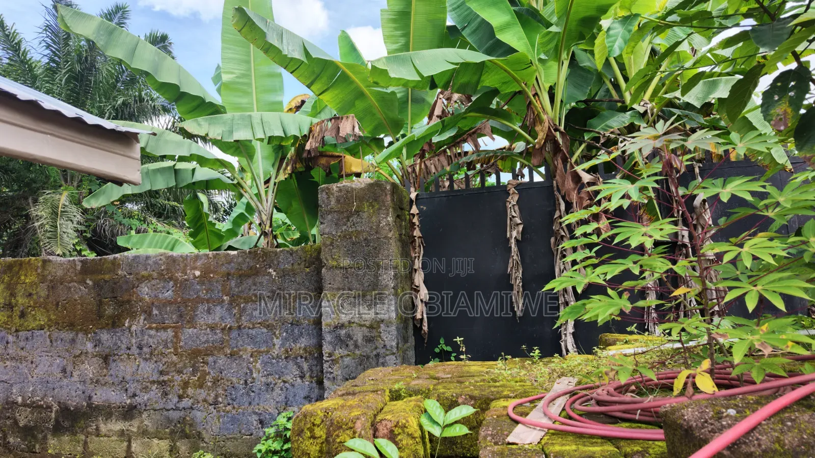 Half Plot of Land for Sale Umuahia Abia State in Umuahia