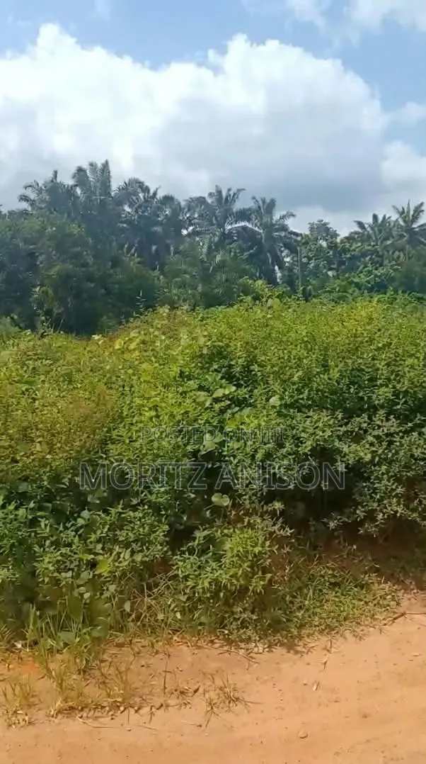Land for Sale in Enugu
