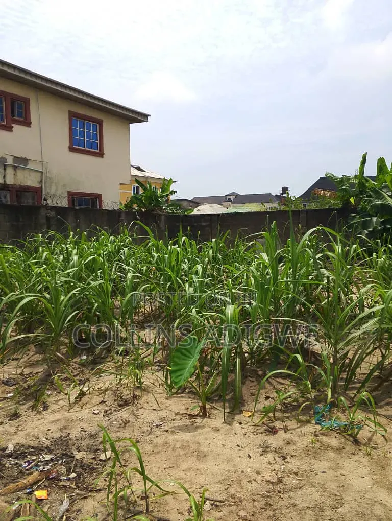 500sqm Dry Land Ogombo in Ogombo