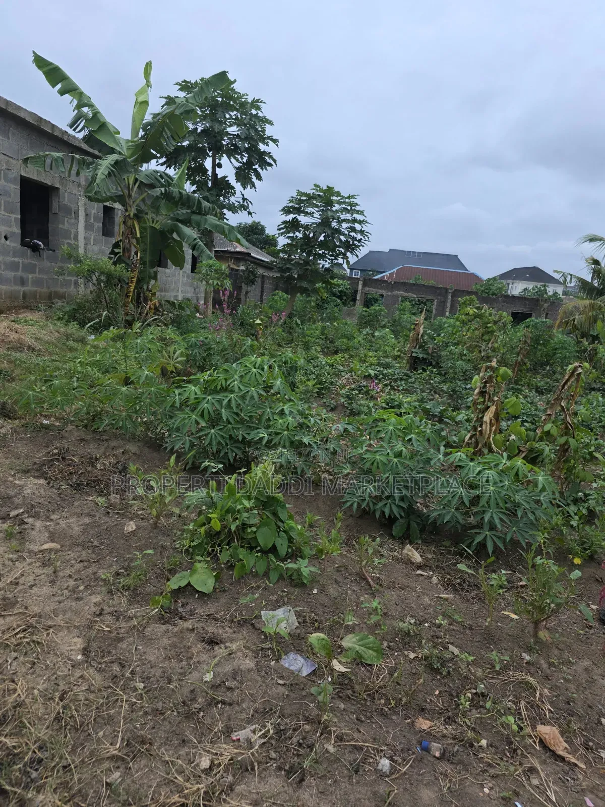 Half Plot of Land for Sale in an Estate at Ayobo Lagos in Ayobo