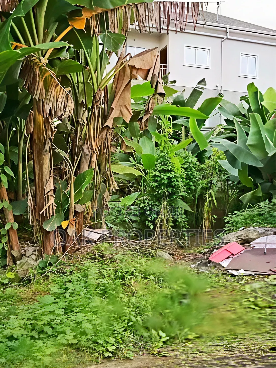 Cornerpiece 535sqm Land in an Estate With Tarred Road at Rukpakulusi in Obio-Akpor